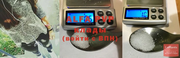 круглые Белокуриха