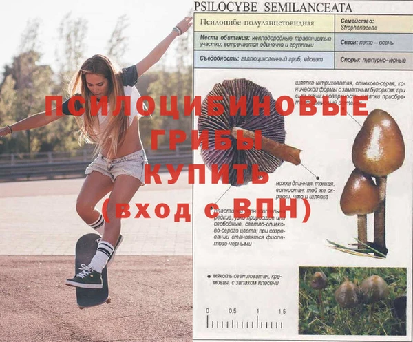 круглые Балахна