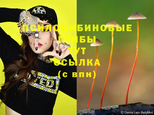 ПСИЛОЦИБИНОВЫЕ ГРИБЫ Беломорск
