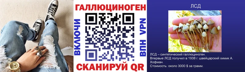 Псилоцибиновые грибы Psilocybe  купить наркоту  KRAKEN маркетплейс  Олёкминск 